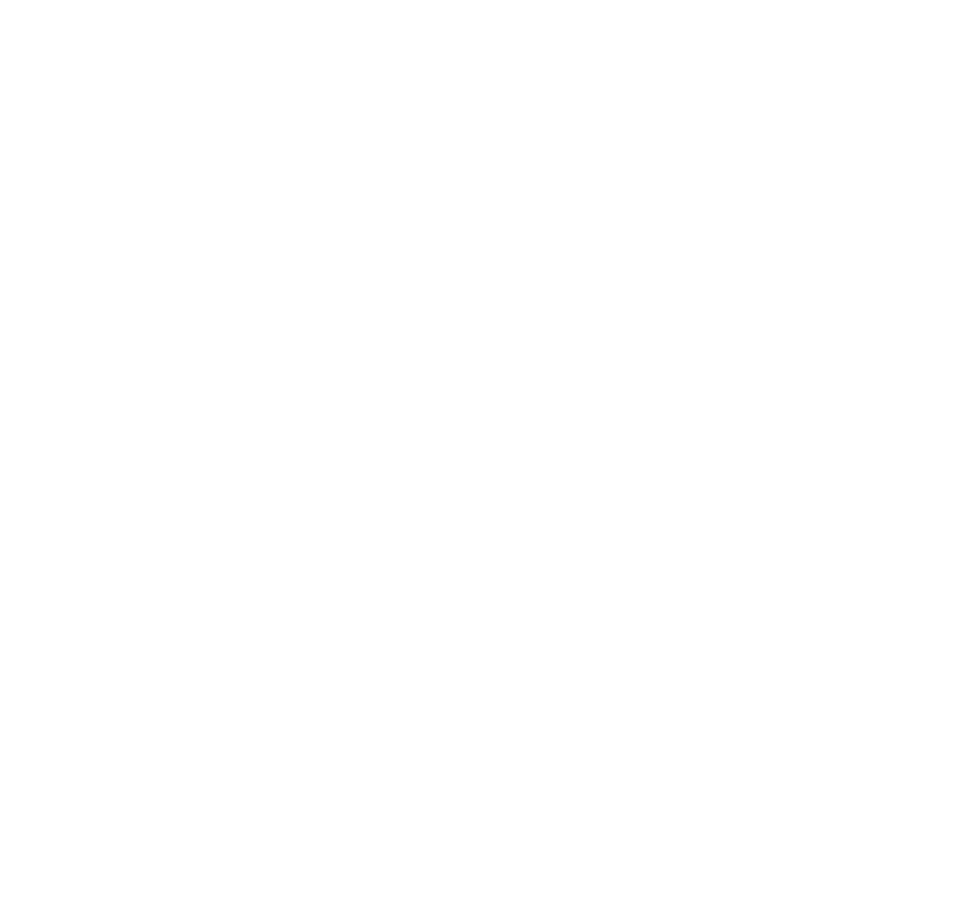 all pro grill cleaning logo